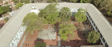 Arborizacao_27-05-22.jpg