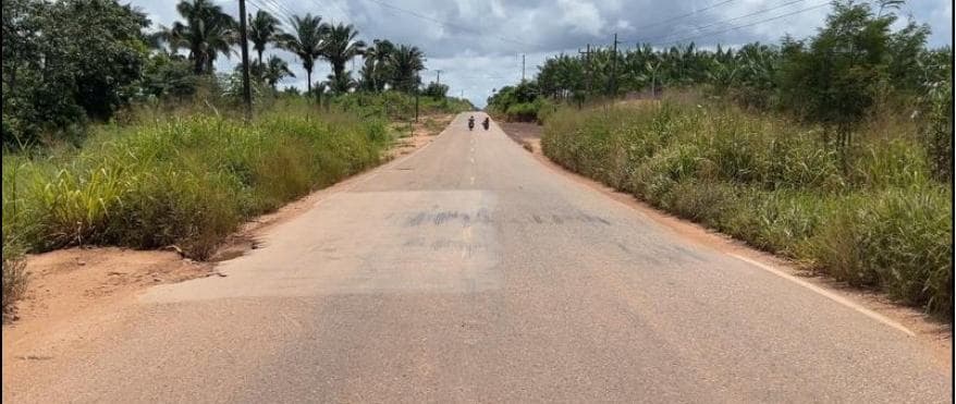 Estradapalmares.jpg