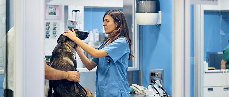 Hospitalvet.jpg
