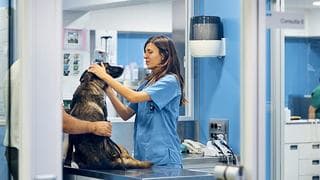 Hospitalvet.jpg