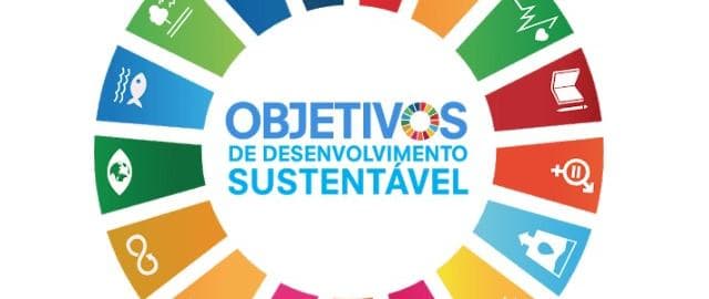 Objetivos2.jpg
