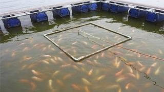 PL_63_Peixes_29-08-21.jpg