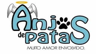 anjos1.jpg