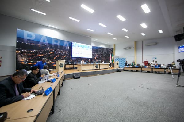 1.Plenrio30042019.jpg