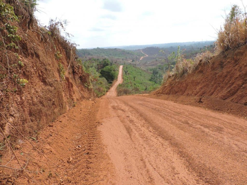 Estrada.jpg