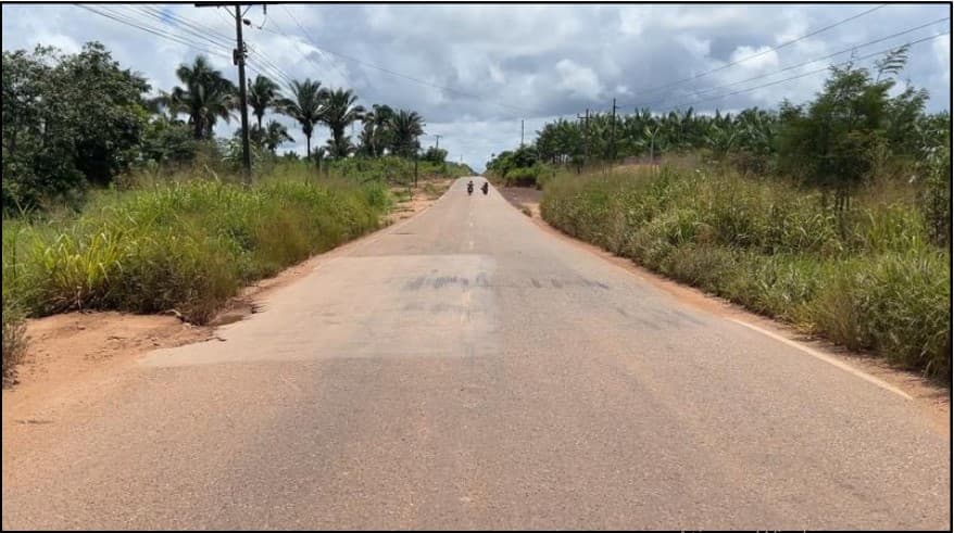Estradapalmares1.jpg