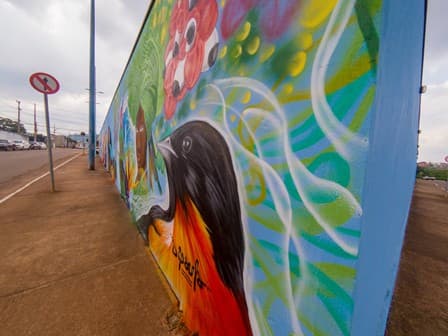Muro_14-10-21_C.jpg
