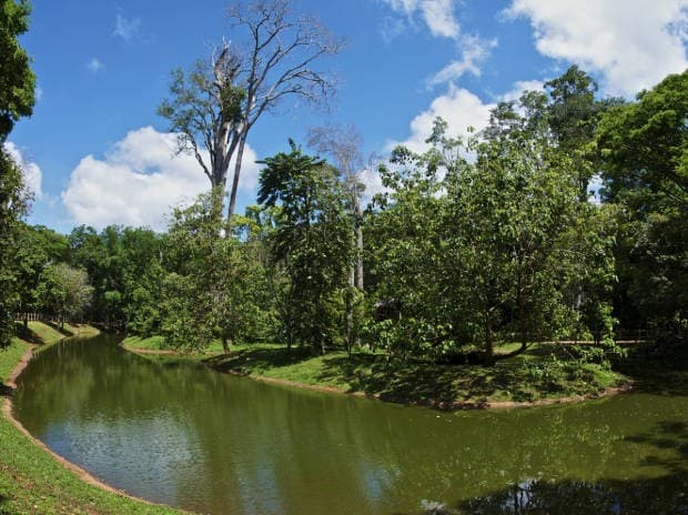 parque1.jpg