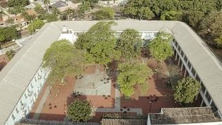 Arborizacao_27-05-22.jpg