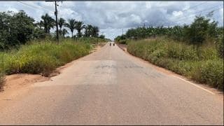 Estradapalmares.jpg